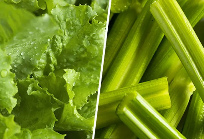 Lettuce and Celery