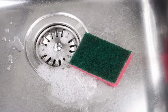 sponge in sink