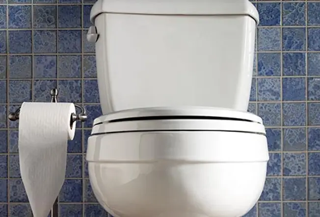 Put a Lid on Toilet Germs