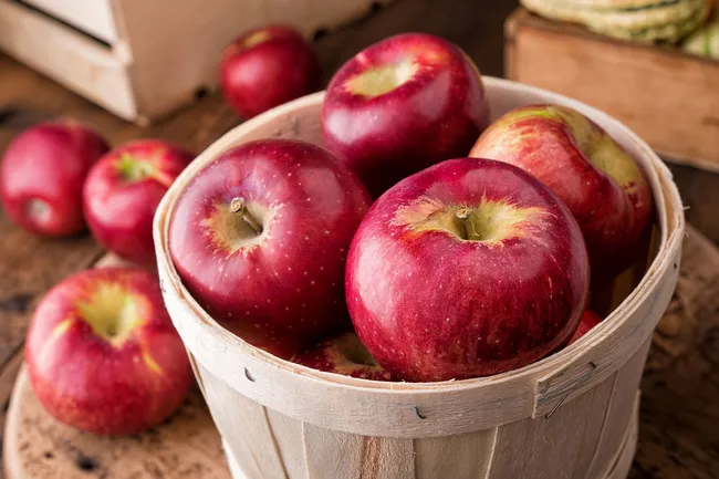 photo of apples