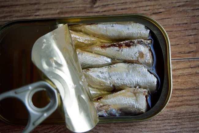 photo of sardines