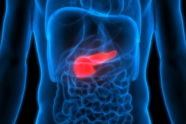 Pancreatic Cancer Prevention