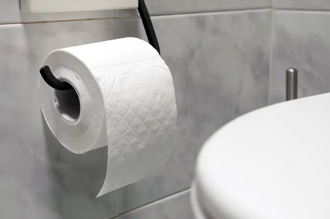 photo of toilet paper