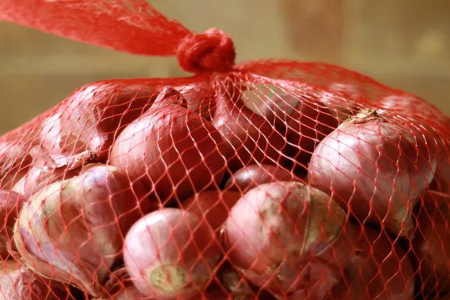 photo of onions in mesh bag