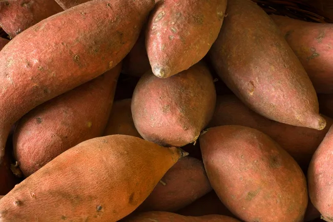 photo of sweet potato