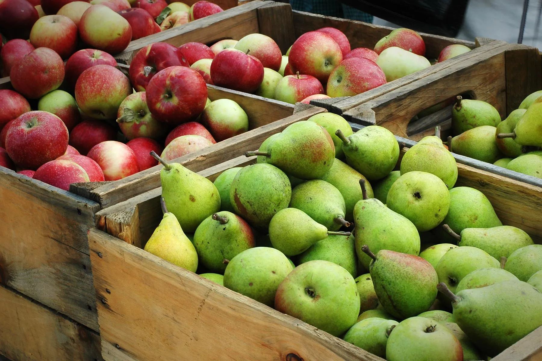 photo of apples and pears