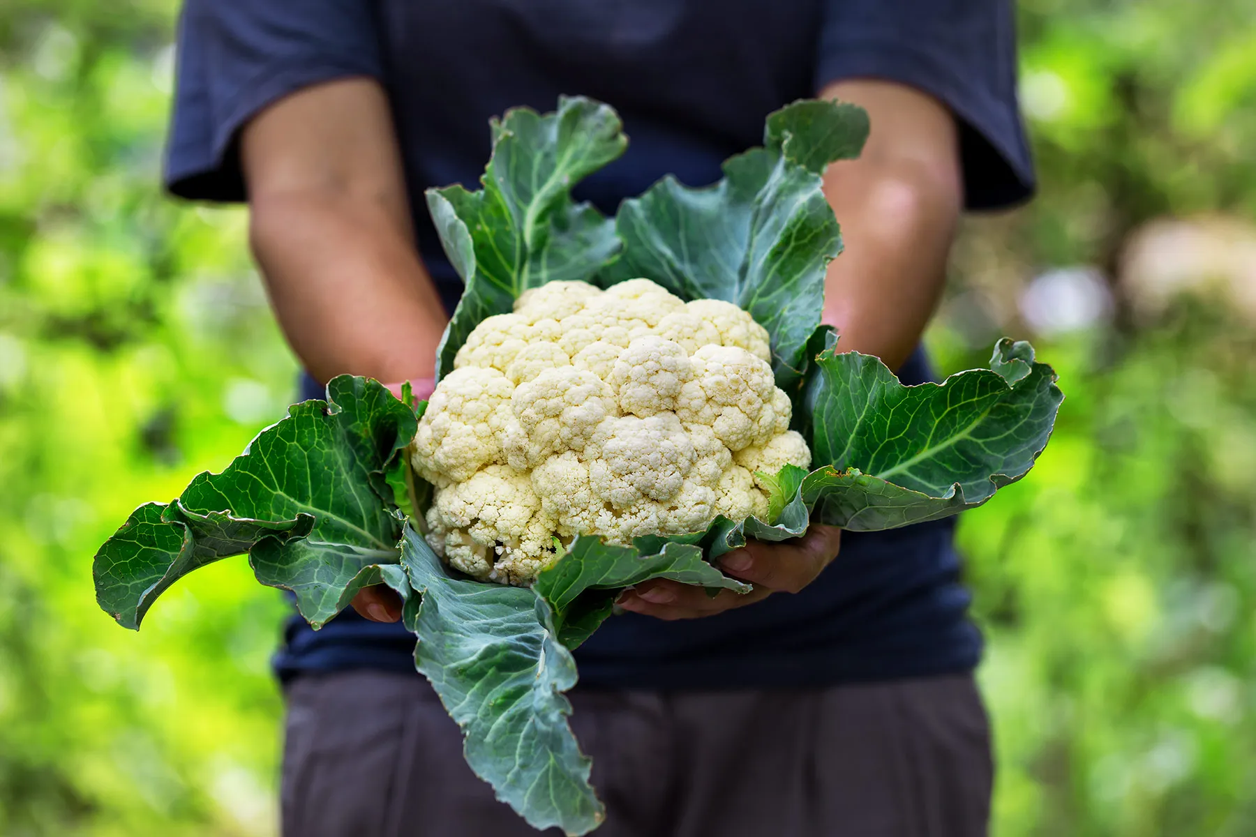 photo of cauliflower
