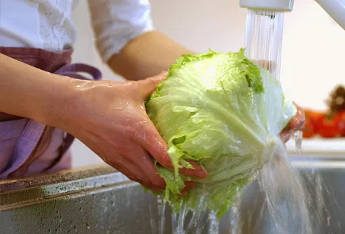 Hand Washing Lettuce at Sink