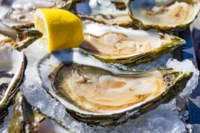 photo of half-shell, shucked oysters