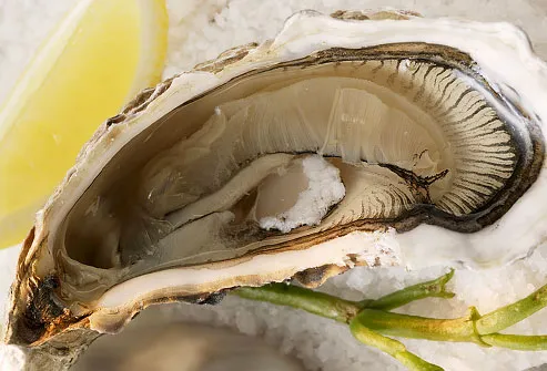 Raw Oyster on Half Shell