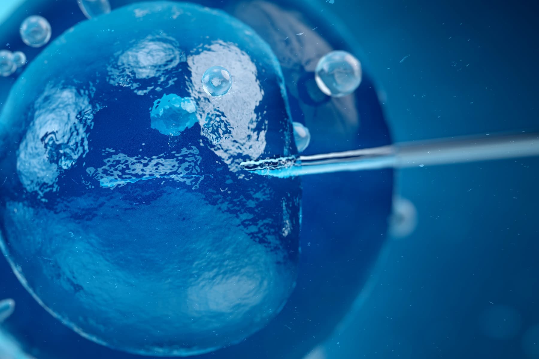 AI Bertemu Embrio: Masa Depan IVF