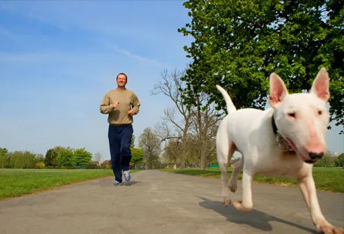 Man jogging down road with dog