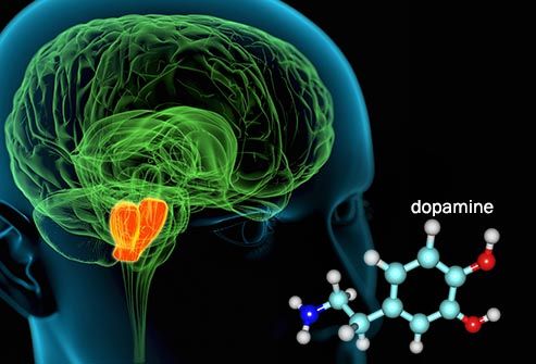 illustration of mid brain and dopamine molecule