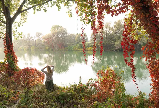 Woman looks across river from autumnal bank