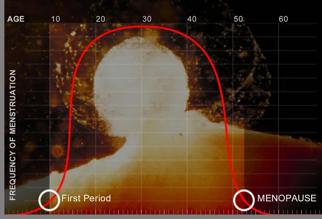 Graph showing menstrual cycle over lifetime