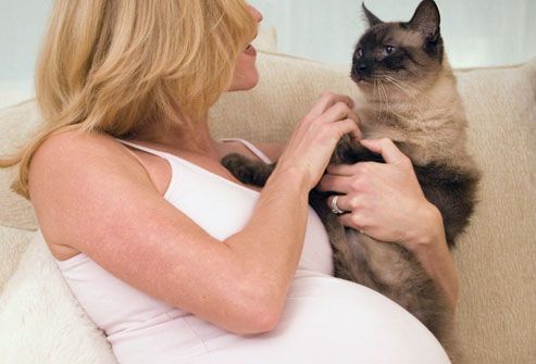 Pregnant Woman Playing With Cat