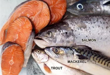 Image result for oil fish list sardines, salmon, mackerel, tuna