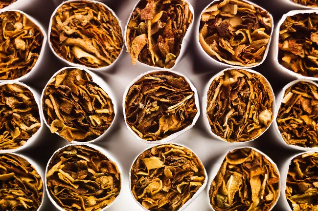 photo of tobacco