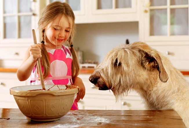 Making Your Own Pet Treats