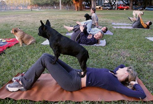 Woman doing yoga in park with dog