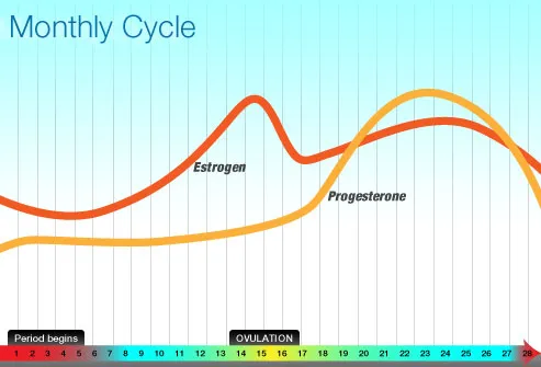 Pmdd Cycle Chart