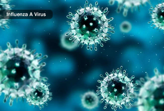 Neden: Virüs