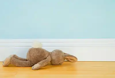 stuffed toy bunny