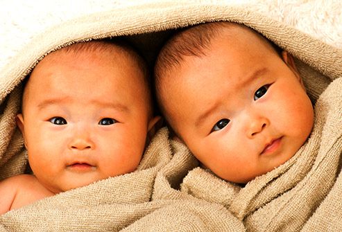 All About Twins, Triplets, and More