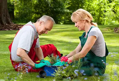 couple gardening together