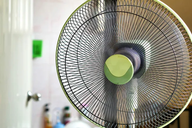 photo of floor fan blowing