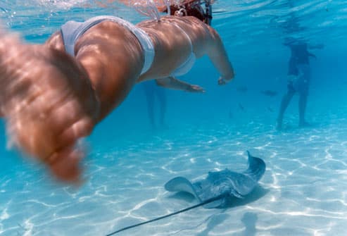 Woman swimming with stingray