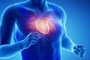 photo of heart anatomy illustration