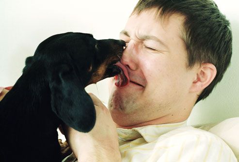 Man Getting Licked by Dog