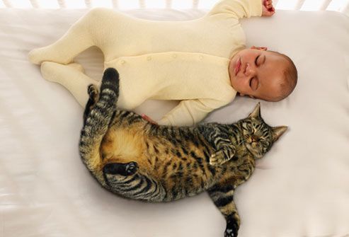 Baby and Cat Sleeping