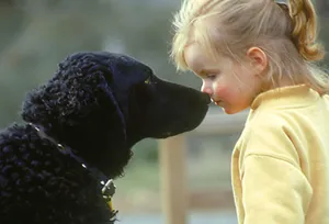 Girl and Dog Touching Noses