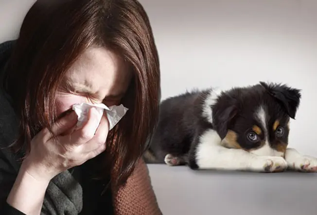 Fact: Humans Can Make Pets Sick