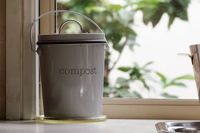 photo of compost bin