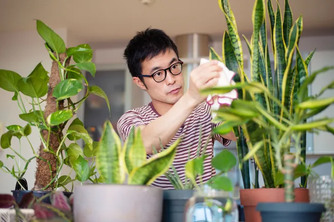 photo of man caring for plants
