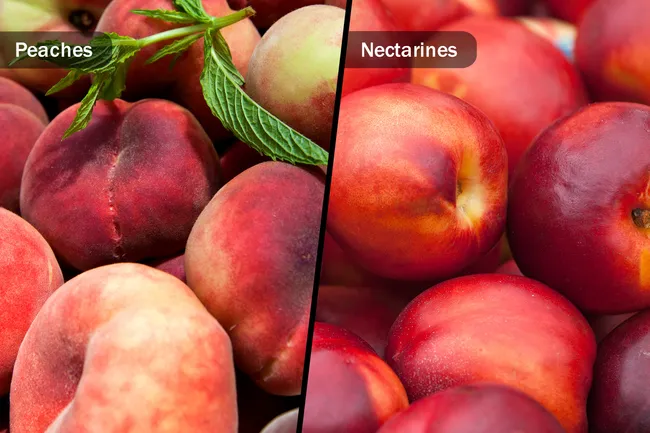 peaches vs nectarines
