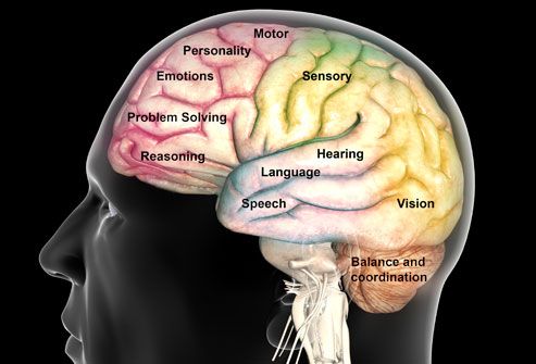 Map of brain function and mood centers