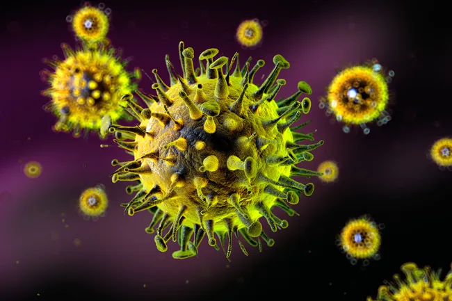 photo of influenza germs