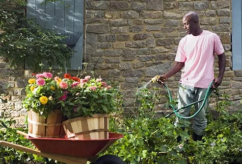 man watering plants in garden