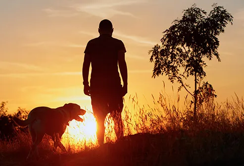 silhouette of man walking dog