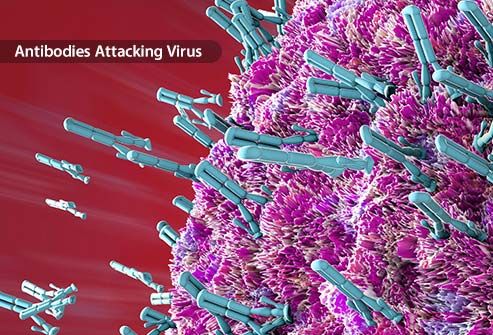 photo of antibodies attacking virus