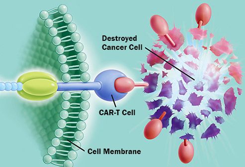 car t gene therapy