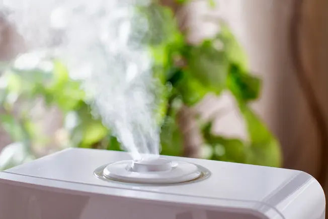 Clean Your Humidifier