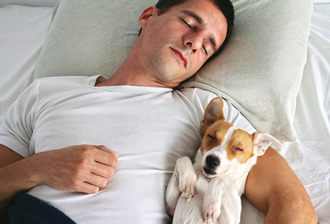 Do Your Pets Sleep With You?