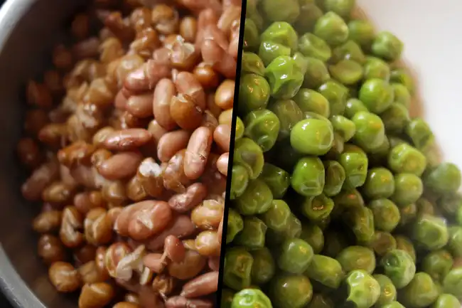 beans and peas diptych