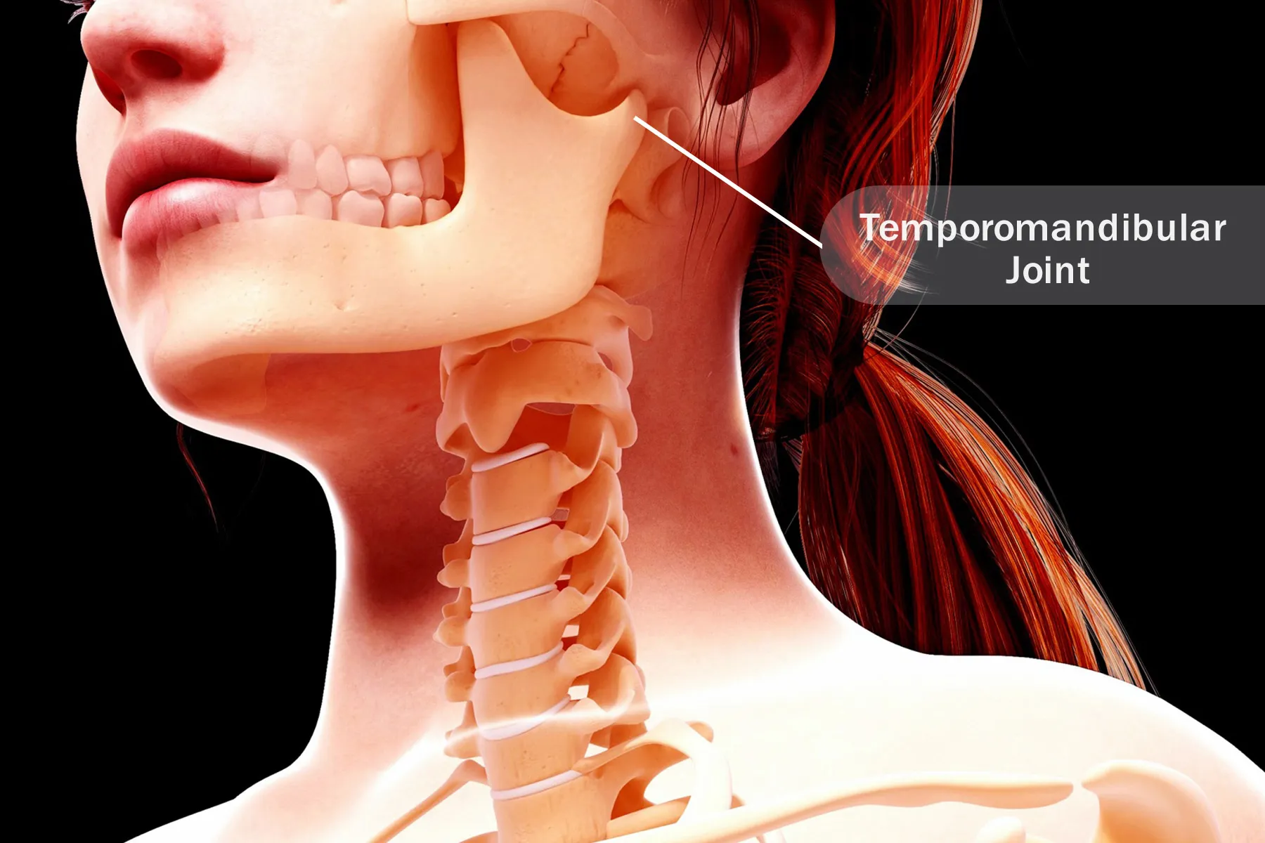 Visual Guide To TMD (TMJ)