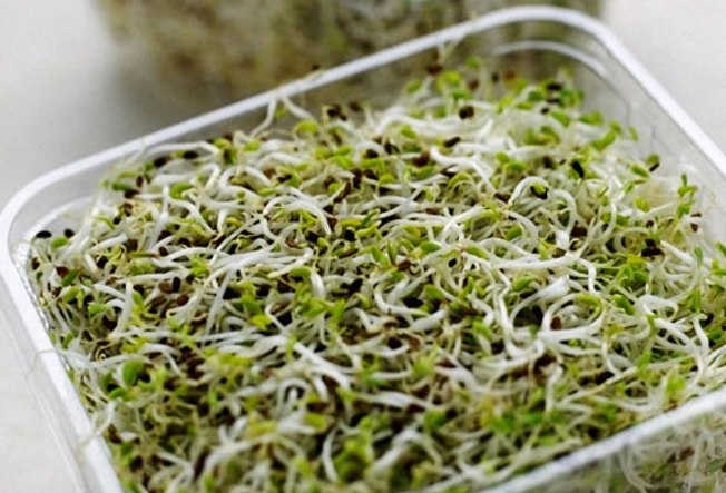 Raw Sprouts
